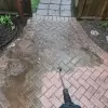 Patio Power Washing